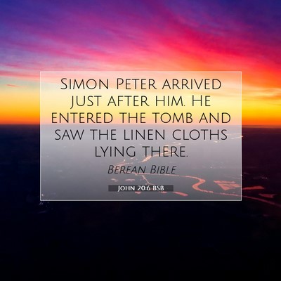 Picture 07 - John 20:6 BSB - Simon Peter arrived just after him. He entered - Bible Verse Picture