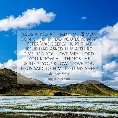Picture 07 - John 21:17 BSB - Jesus asked a third time, “Simon son of John, - Bible Verse Picture