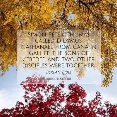 Picture 07 - John 21:2 BSB - Simon Peter, Thomas called Didymus, Nathanael - Bible Verse Picture