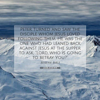 Picture 07 - John 21:20 BSB - Peter turned and saw the disciple whom Jesus - Bible Verse Picture