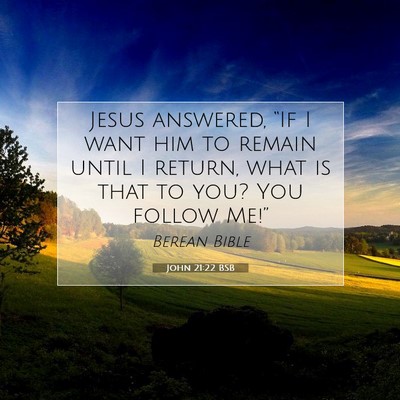 Picture 07 - John 21:22 BSB - Jesus answered, “If I want him to remain until - Bible Verse Picture