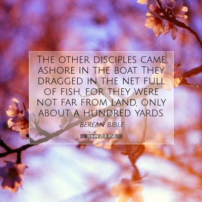 Picture 07 - John 21:8 BSB - The other disciples came ashore in the boat. They - Bible Verse Picture