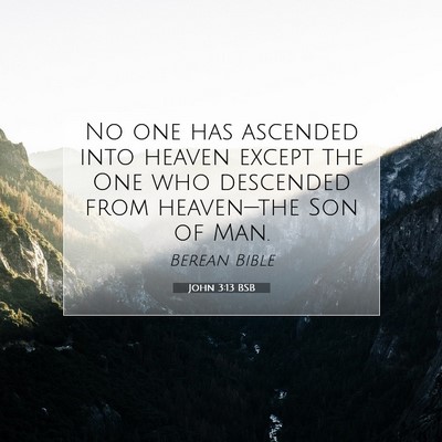 Picture 07 - John 3:13 BSB - No one has ascended into heaven except the One - Bible Verse Picture