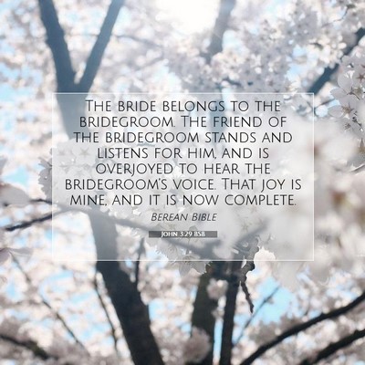 Picture 07 - John 3:29 BSB - The bride belongs to the bridegroom. The friend - Bible Verse Picture