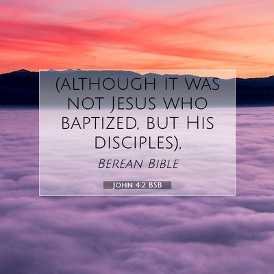 Picture 07 - John 4:2 BSB - (although it was not Jesus who baptized, but His - Bible Verse Picture