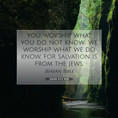Picture 07 - John 4:22 BSB - You worship what you do not know; we worship what - Bible Verse Picture