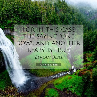 Picture 07 - John 4:37 BSB - For in this case the saying ‘One sows and - Bible Verse Picture
