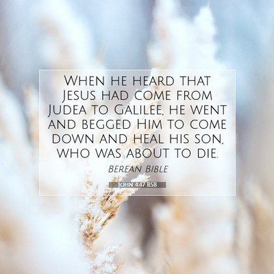 Picture 07 - John 4:47 BSB - When he heard that Jesus had come from Judea to - Bible Verse Picture