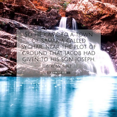 Picture 07 - John 4:5 BSB - So He came to a town of Samaria called Sychar, - Bible Verse Picture