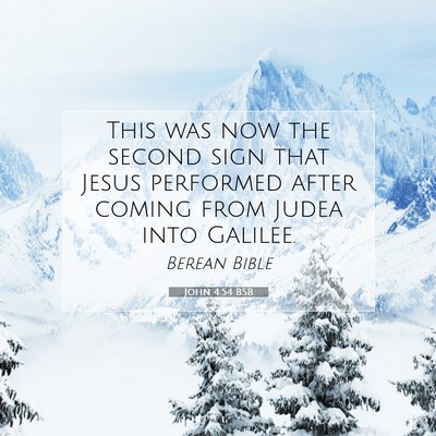 Picture 07 - John 4:54 BSB - This was now the second sign that Jesus performed - Bible Verse Picture