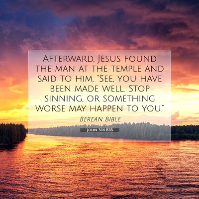 Picture 07 - John 5:14 BSB - Afterward, Jesus found the man at the temple and - Bible Verse Picture
