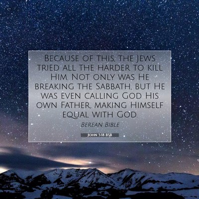 Picture 07 - John 5:18 BSB - Because of this, the Jews tried all the harder to - Bible Verse Picture
