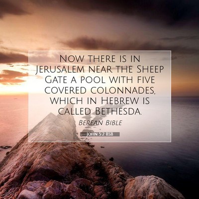 Picture 07 - John 5:2 BSB - Now there is in Jerusalem near the Sheep Gate a - Bible Verse Picture