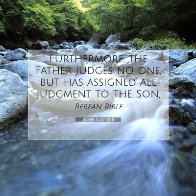 Picture 07 - John 5:22 BSB - Furthermore, the Father judges no one, but has - Bible Verse Picture