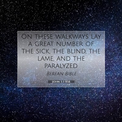 Picture 07 - John 5:3 BSB - On these walkways lay a great number of the sick, - Bible Verse Picture