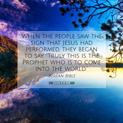Picture 07 - John 6:14 BSB - When the people saw the sign that Jesus had - Bible Verse Picture