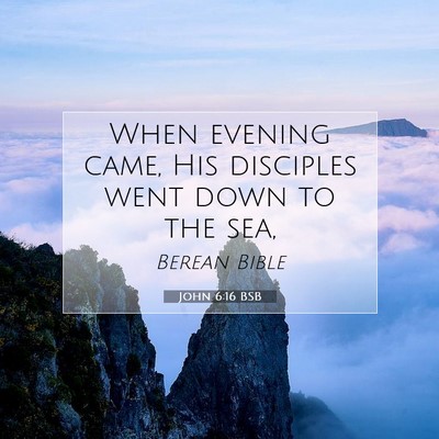 Picture 07 - John 6:16 BSB - When evening came, His disciples went down to the - Bible Verse Picture