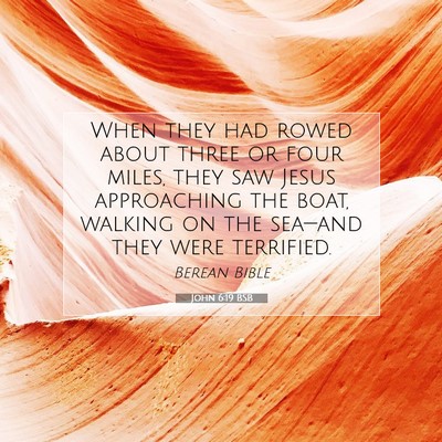 Picture 07 - John 6:19 BSB - When they had rowed about three or four miles, - Bible Verse Picture