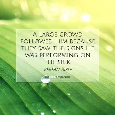Picture 07 - John 6:2 BSB - A large crowd followed Him because they saw the - Bible Verse Picture