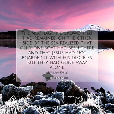 Picture 07 - John 6:22 BSB - The next day, the crowd that had remained on the - Bible Verse Picture