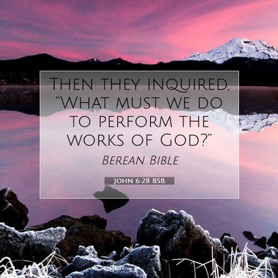 Picture 07 - John 6:28 BSB - Then they inquired, “What must we do to perform - Bible Verse Picture