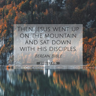 Picture 07 - John 6:3 BSB - Then Jesus went up on the mountain and sat down - Bible Verse Picture