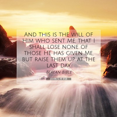 Picture 07 - John 6:39 BSB - And this is the will of Him who sent Me, that I - Bible Verse Picture