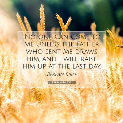 Picture 07 - John 6:44 BSB - “No one can come to Me unless the Father who - Bible Verse Picture