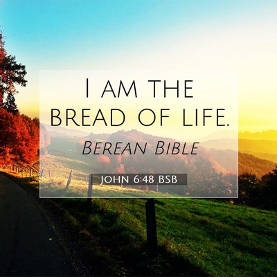 Picture 07 - John 6:48 BSB - I am the bread of - Bible Verse Picture
