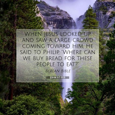 Picture 07 - John 6:5 BSB - When Jesus looked up and saw a large crowd coming - Bible Verse Picture