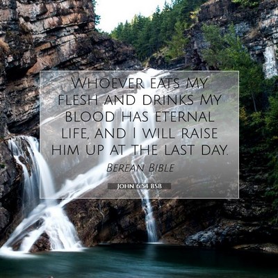Picture 07 - John 6:54 BSB - Whoever eats My flesh and drinks My blood has - Bible Verse Picture