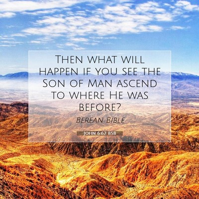 Picture 07 - John 6:62 BSB - Then what will happen if you see the Son of Man - Bible Verse Picture