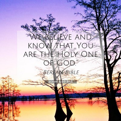 Picture 07 - John 6:69 BSB - We believe and know that You are the Holy One of - Bible Verse Picture