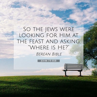 Picture 07 - John 7:11 BSB - So the Jews were looking for Him at the feast and - Bible Verse Picture