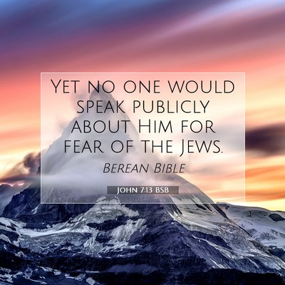 Picture 07 - John 7:13 BSB - Yet no one would speak publicly about Him for - Bible Verse Picture
