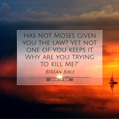Picture 07 - John 7:19 BSB - Has not Moses given you the law? Yet not one of - Bible Verse Picture