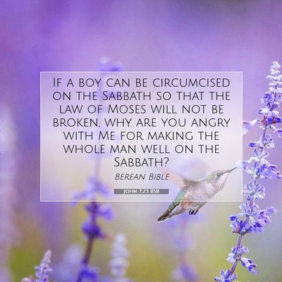 Picture 07 - John 7:23 BSB - If a boy can be circumcised on the Sabbath so - Bible Verse Picture