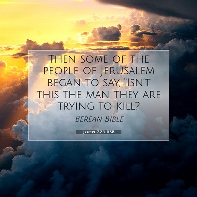 Picture 07 - John 7:25 BSB - Then some of the people of Jerusalem began to - Bible Verse Picture