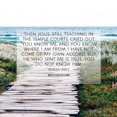 Picture 07 - John 7:28 BSB - Then Jesus, still teaching in the temple courts, - Bible Verse Picture