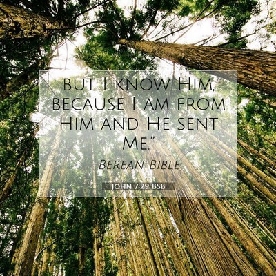 Picture 07 - John 7:29 BSB - but I know Him, because I am from Him and He sent - Bible Verse Picture