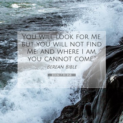Picture 07 - John 7:34 BSB - You will look for Me, but you will not find Me; - Bible Verse Picture