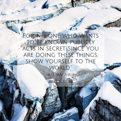 Picture 07 - John 7:4 BSB - For no one who wants to be known publicly acts in - Bible Verse Picture