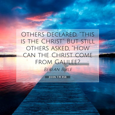 Picture 07 - John 7:41 BSB - Others declared, “This is the Christ.” But - Bible Verse Picture
