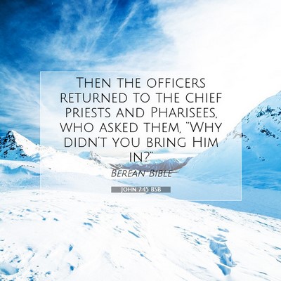 Picture 07 - John 7:45 BSB - Then the officers returned to the chief priests - Bible Verse Picture