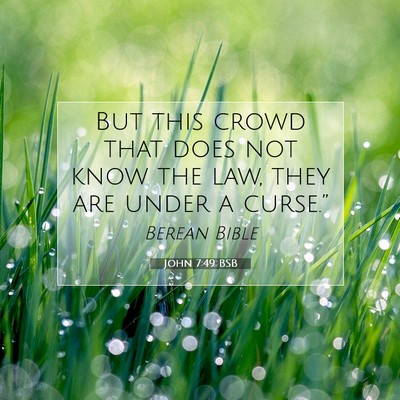 Picture 07 - John 7:49 BSB - But this crowd that does not know the law, they - Bible Verse Picture