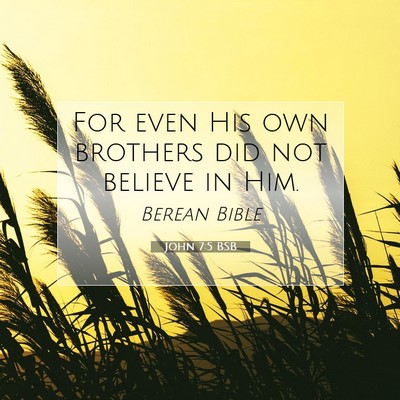 Picture 07 - John 7:5 BSB - For even His own brothers did not believe in - Bible Verse Picture