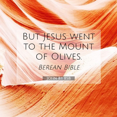 Picture 07 - John 8:1 BSB - But Jesus went to the Mount of - Bible Verse Picture