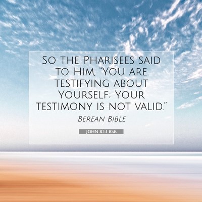 Picture 07 - John 8:13 BSB - So the Pharisees said to Him, “You are - Bible Verse Picture