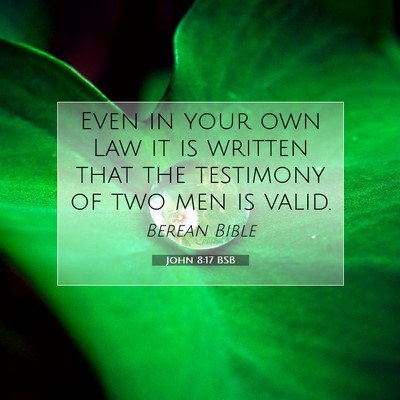 Picture 07 - John 8:17 BSB - Even in your own Law it is written that the - Bible Verse Picture