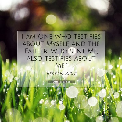 Picture 07 - John 8:18 BSB - I am One who testifies about Myself, and the - Bible Verse Picture